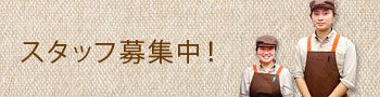 スタッフ募集中